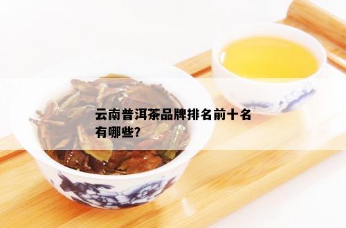 云南普洱茶品牌排名前十名有哪些？