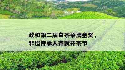 政和第二届白茶荣膺金奖，非遗传承人齐聚开茶节