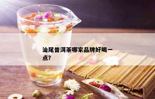 汕尾普洱茶哪家品牌好喝一点？