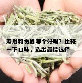 寿眉和贡眉哪个好喝？比较一下口味，选出更佳选择