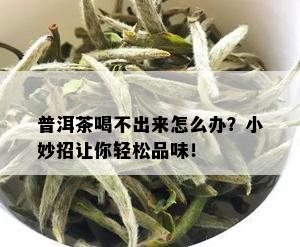 普洱茶喝不出来怎么办？小妙招让你轻松品味！