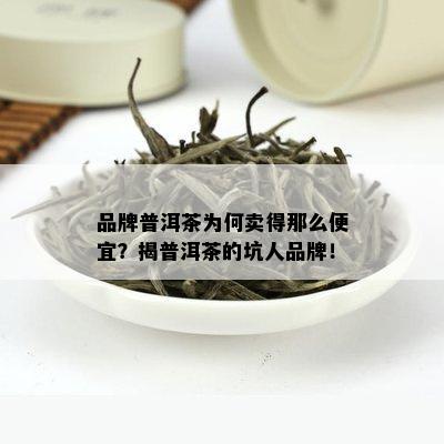 品牌普洱茶为何卖得那么便宜？揭普洱茶的坑人品牌！