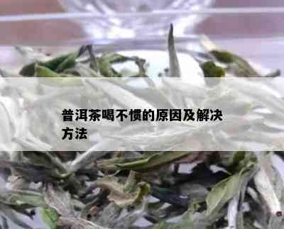 普洱茶喝不惯的原因及解决方法