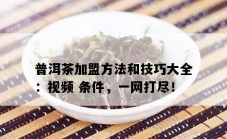 普洱茶加盟方法和技巧大全：视频 条件，一网打尽！