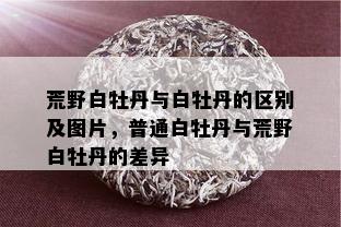 荒野白牡丹与白牡丹的区别及图片，普通白牡丹与荒野白牡丹的差异