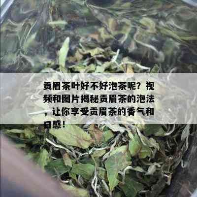 贡眉茶叶好不好泡茶呢？视频和图片揭秘贡眉茶的泡法，让你享受贡眉茶的香气和口感！