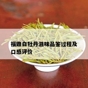 福鼎白牡丹滋味品鉴过程及口感评价