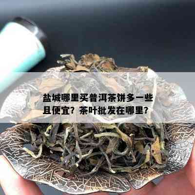 盐城哪里买普洱茶饼多一些且便宜？茶叶批发在哪里？