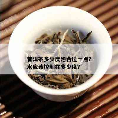 普洱茶多少度泡合适一点？水应该控制在多少度？