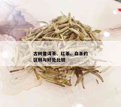 古树普洱茶、红茶、白茶的区别与好处比较