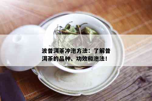 波普洱茶冲泡方法：了解普洱茶的品种、功效和泡法！