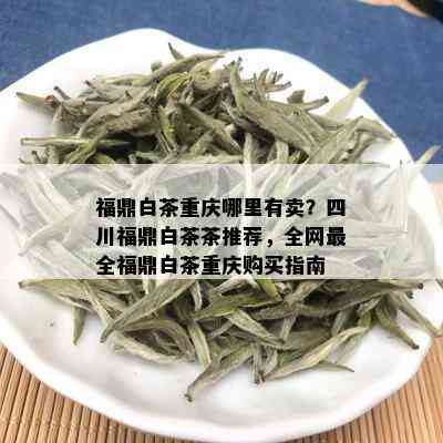 福鼎白茶重庆哪里有卖？四川福鼎白茶茶推荐，全网最全福鼎白茶重庆购买指南