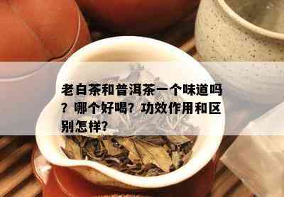 老白茶和普洱茶一个味道吗？哪个好喝？功效作用和区别怎样？