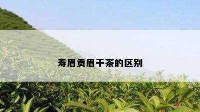 寿眉贡眉干茶的区别