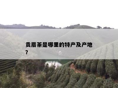 贡眉茶是哪里的特产及产地？