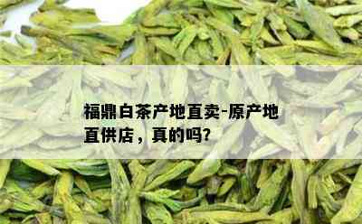 福鼎白茶产地直卖-原产地直供店，真的吗？