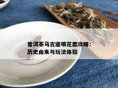 普洱茶马古道喂花鹿攻略：历史由来与玩法体验