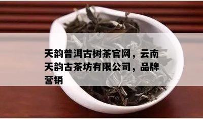 天韵普洱古树茶官网，云南天韵古茶坊有限公司，品牌营销