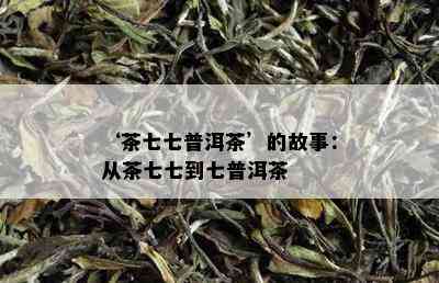 ‘茶七七普洱茶’的故事：从茶七七到七普洱茶