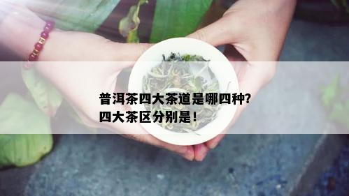 普洱茶四大茶道是哪四种？四大茶区分别是！