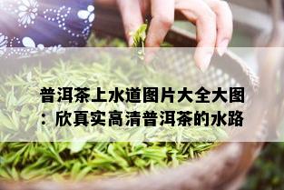 普洱茶上水道图片大全大图：欣真实高清普洱茶的水路