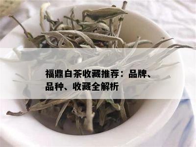 福鼎白茶收藏推荐：品牌、品种、收藏全解析