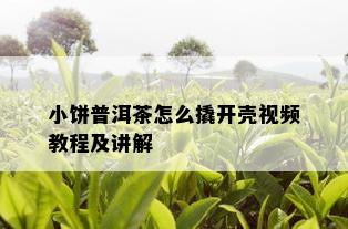 小饼普洱茶怎么撬开壳视频教程及讲解