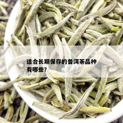 适合长期保存的普洱茶品种有哪些？