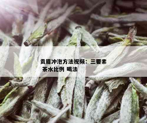 贡眉冲泡方法视频：三要素 茶水比例 喝法