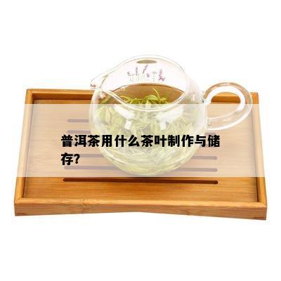 普洱茶用什么茶叶制作与储存？