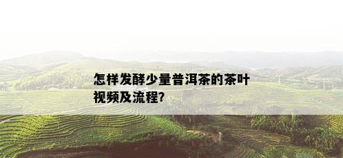 怎样发酵少量普洱茶的茶叶视频及流程？