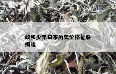 政和少年白茶历史价格征联揭晓