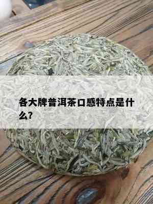 各大牌普洱茶口感特点是什么？