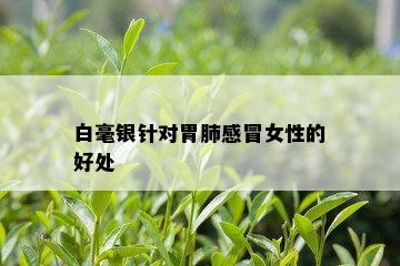 白毫银针对胃肺感冒女性的好处