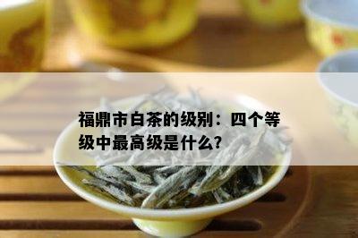 福鼎市白茶的级别：四个等级中更高级是什么？