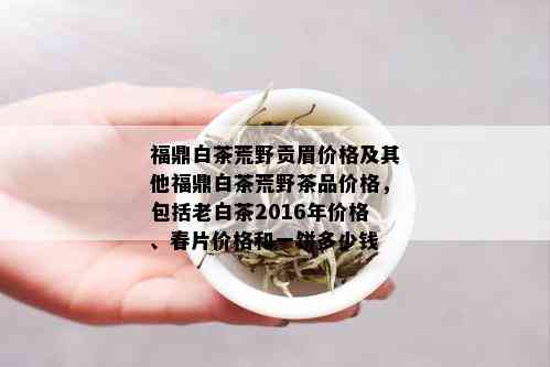 福鼎白茶荒野贡眉价格及其他福鼎白茶荒野茶品价格，包括老白茶2016年价格、春片价格和一饼多少钱