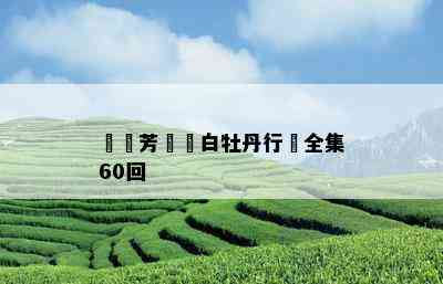 劉蘭芳評書白牡丹行動全集60回