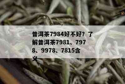 普洱茶7984好不好？了解普洱茶7981、7978、9978、7815含义