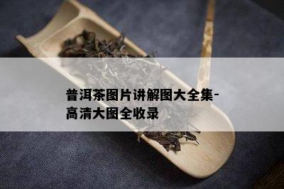 普洱茶图片讲解图大全集-高清大图全收录