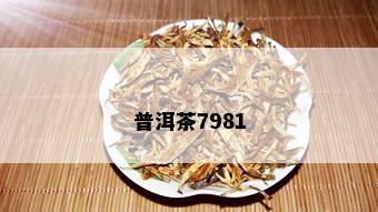 普洱茶7981