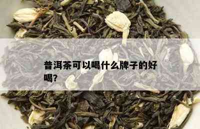 普洱茶可以喝什么牌子的好喝？