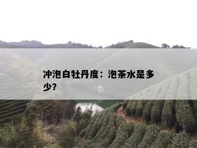 冲泡白牡丹度：泡茶水是多少？