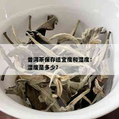 普洱茶保存适宜度和湿度：湿度是多少？