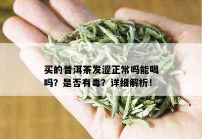 买的普洱茶发涩正常吗能喝吗？是否有？详细解析！