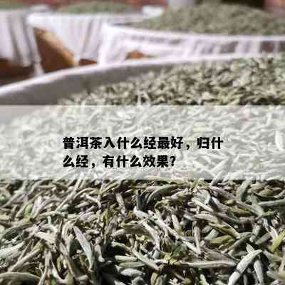 普洱茶入什么经更好，归什么经，有什么效果？