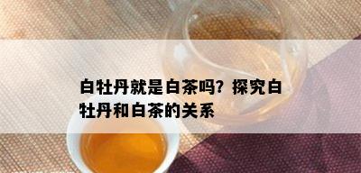 白牡丹就是白茶吗？探究白牡丹和白茶的关系