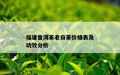 福建普洱茶老白茶价格表及功效分析