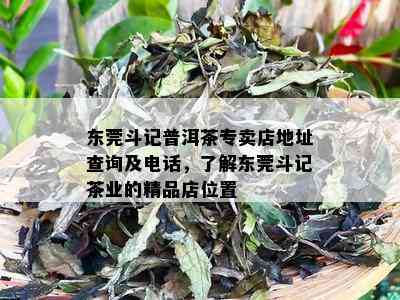 东莞斗记普洱茶专卖店地址查询及电话，了解东莞斗记茶业的精品店位置