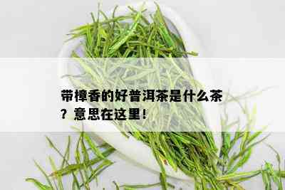 带樟香的好普洱茶是什么茶？意思在这里！