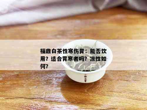 福鼎白茶性寒伤胃：能否饮用？适合胃寒者吗？凉性如何？